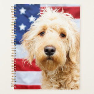Goldendoodle avec drapeau américain