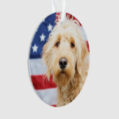 Goldendoodle avec drapeau américain (devant)