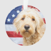 Goldendoodle avec drapeau américain (devant)