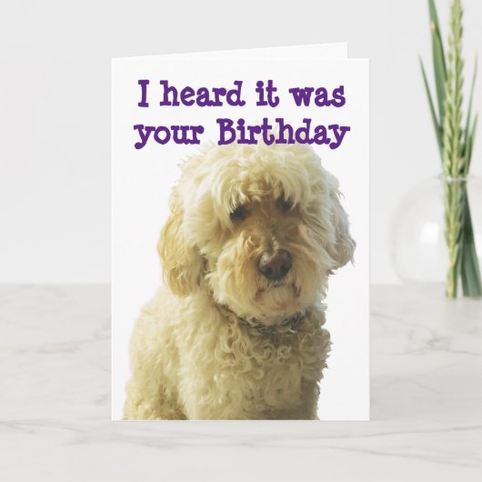 GoldenDoodle, Birthday Doodle Kaart (Voorkant)