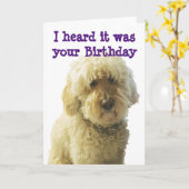 GoldenDoodle, Birthday Doodle Kaart (Gele Bloem)