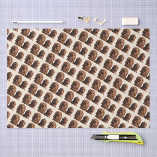 Goldendoodle Brothers Tissuepapier (Craft)