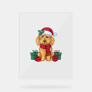 Goldendoodle Chien Fête de Noël Père Noël Chien X