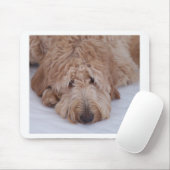 GoldenDoodle Dog Gift Muismatten/Mousemats Muismat (Met muis)