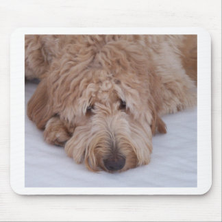 GoldenDoodle Dog Gift Muismatten/Mousemats Muismat