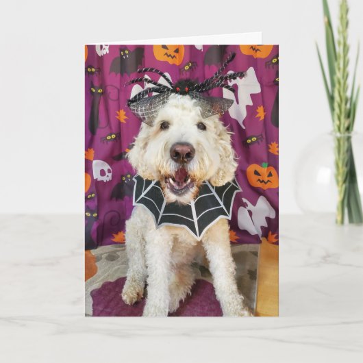 Goldendoodle dog Halloween Card Kaart (Voorkant)