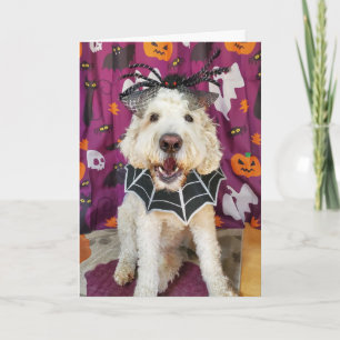 Goldendoodle dog Halloween Card Kaart