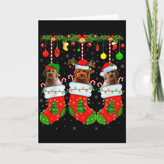 Goldendoodle Dog In Christmas Socks Funny Pet Dog Kaart (Voorkant)