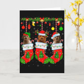 Goldendoodle Dog In Christmas Socks Funny Pet Dog Kaart (Gele Bloem)