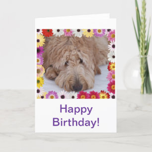 GoldenDoodle Dog in Kleurrijke Bloemen Verjaardag Kaart