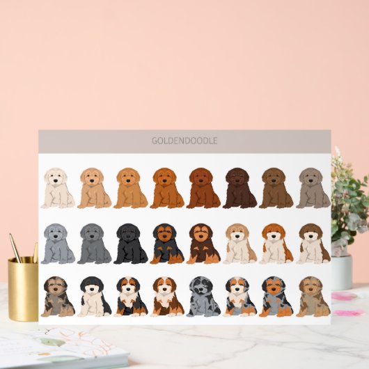 Goldendoodle dog mix (Mariage)