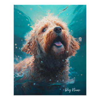 Goldendoodle dog swimming in water 008 perfect poster