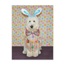Goldendoodle Easter briefkaart