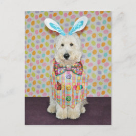 Goldendoodle Easter briefkaart