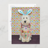 Goldendoodle Easter briefkaart (Voorkant / Achterkant)