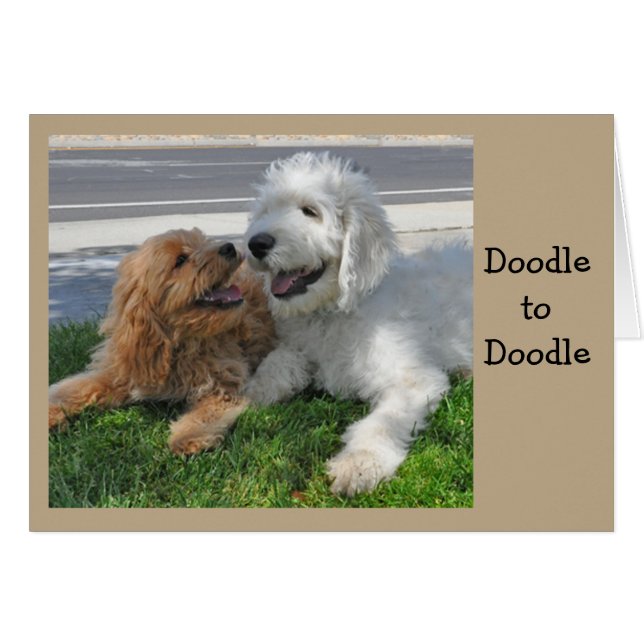 Goldendoodle friends (Devant horizontal)