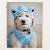 Goldendoodle in haaienkostuum planner (Voorkant)
