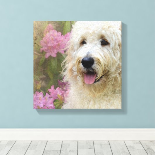 Goldendoodle in Hortensia Canvas Afdruk (Insitu (Houten vloer))