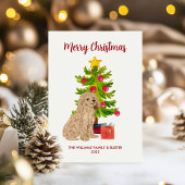 Goldendoodle Kerstkaart