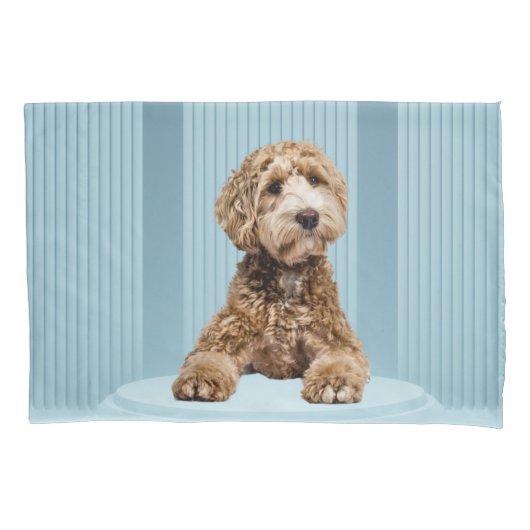 Goldendoodle Laying on Minimale pastblauw podium Kussensloop (Voorkant)