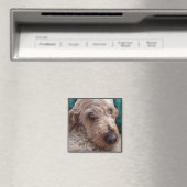 Goldendoodle Magneet (Insitu (Vaatwasser))