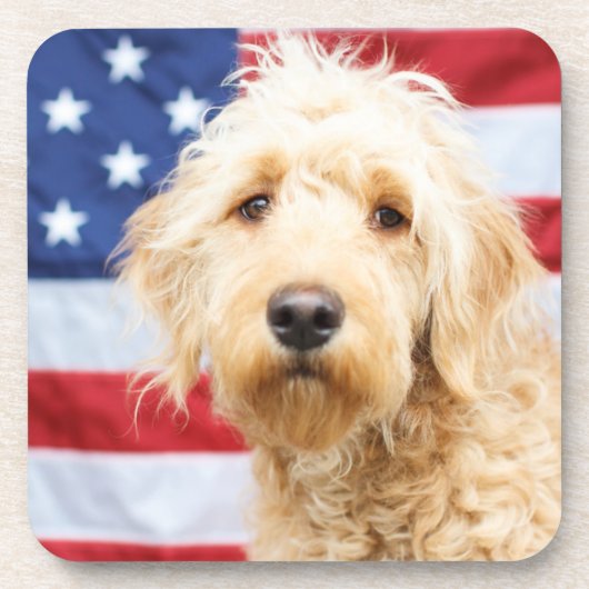 Goldendoodle met Amerikaanse vlag Bier Onderzetter (Voorkant)