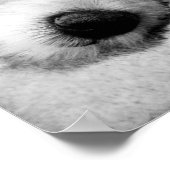 Goldendoodle met bril poster (Hoek)