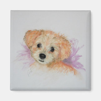 Goldendoodle Puppy Dog Art Magnet Magneet