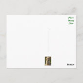 Goldendoodle Puppy Dog Blank Groen Briefkaart (Achterkant)