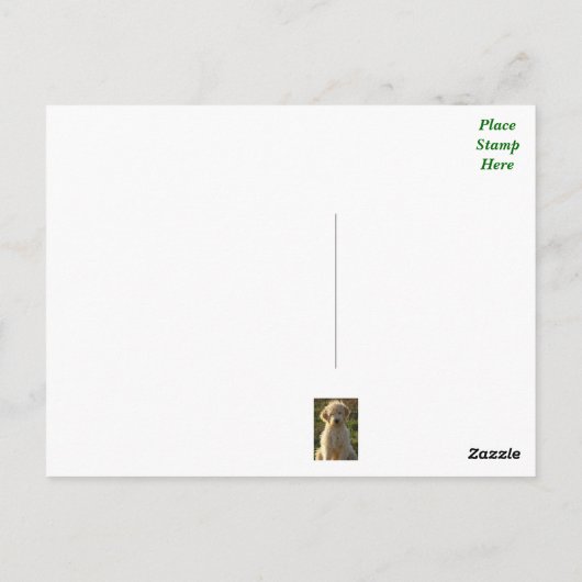 Goldendoodle Puppy Dog Blank Groen Briefkaart (Achterkant)