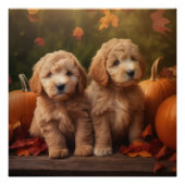 Goldendoodle Puppy Herfst Delight Pompoen Perfect Poster (Voorkant)