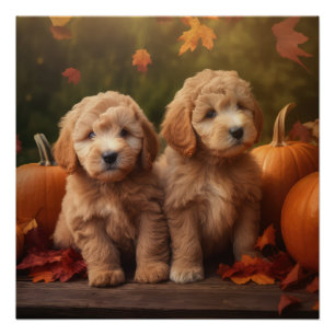 Goldendoodle Puppy Herfst Delight Pompoen Perfect Poster