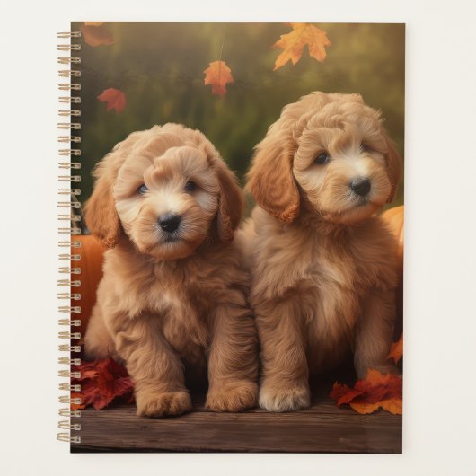 Goldendoodle Puppy Herfst Delight Pompoen Planner (Voorkant)