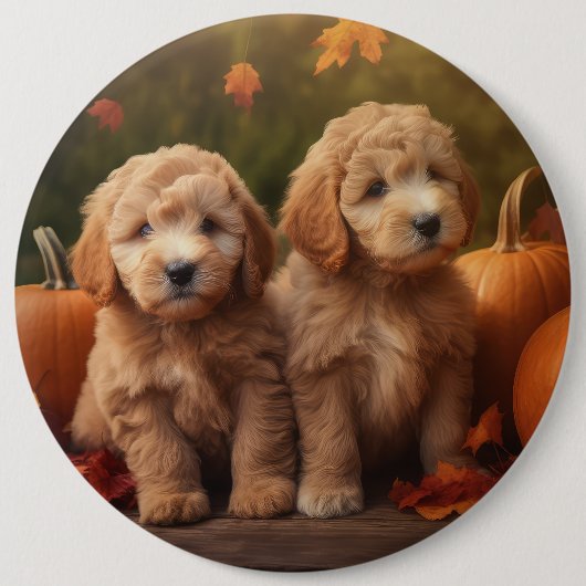 Goldendoodle Puppy Herfst Delight Pompoen Ronde Button 6,0 Cm (Voorkant)