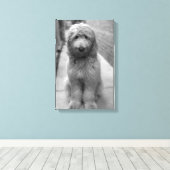 Goldendoodle Puppy In Backyard Canvas Afdruk (Insitu (Houten vloer))