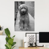 Goldendoodle Puppy In Backyard Poster (Thuiskantoor)