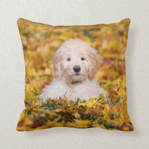 Goldendoodle Puppy In Herfstbladeren Kussen