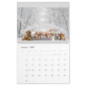 Goldendoodle Puppy Kalender (Jan 2027)