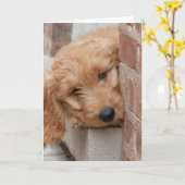 Goldendoodle Puppy Peking Kaart (Gele Bloem)