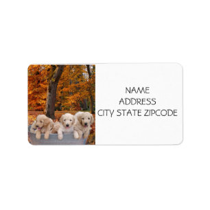 GOLDENDOODLE PUPPY RETOURNER ÉTIQUETTES
