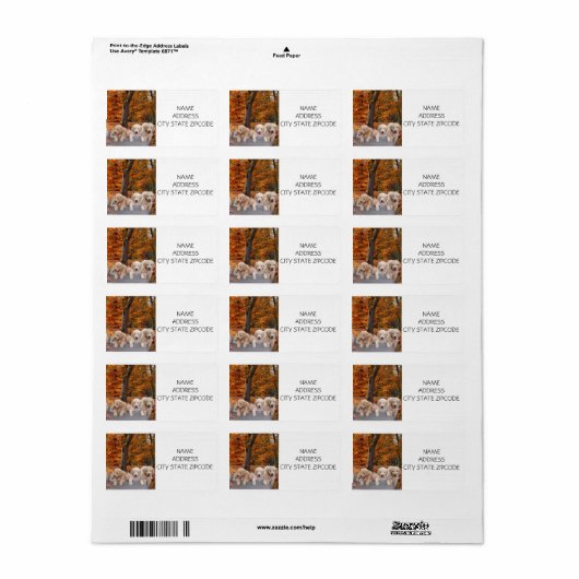 GOLDENDOODLE PUPPY RETURN ETIKETTERS ETIKET (Full Sheet)