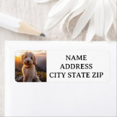 GOLDENDOODLE RETOURLABELS ETIKET (Insitu)