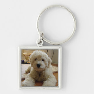 Goldendoodle Sleutelhanger