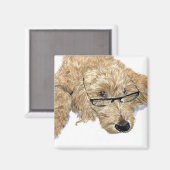 Goldendoodle Stella Magnets (Recto/Verso)