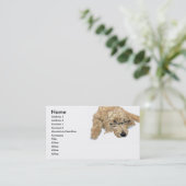 Goldendoodle Stella Visitekaartjes (Staand voorkant)