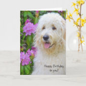 Goldendoodle Verjaardag Kaart (Gele Bloem)