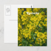 Goldenrod Briefkaart (Voorkant / Achterkant)