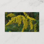 Goldenrod Carte de visite de la photographie de la (Dos)