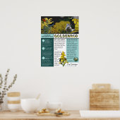 Goldenrod Misconceptions and Facts Blue Theme Poster (Keuken)