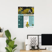Goldenrod Misconceptions and Facts Blue Theme Poster (Thuiskantoor)